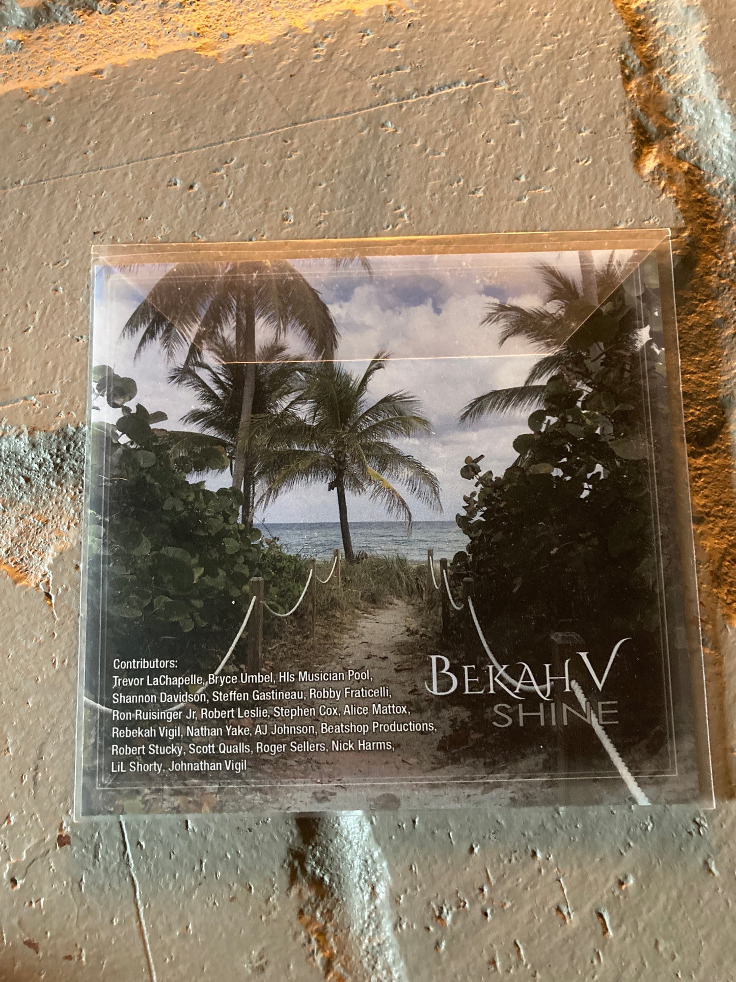 Bekah V album-  Shine with Damaged Goods Single